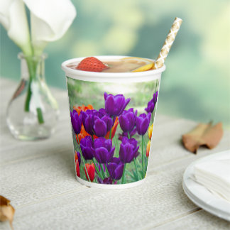 庭の晴れた日に濃い紫のチューリップ 紙コップ