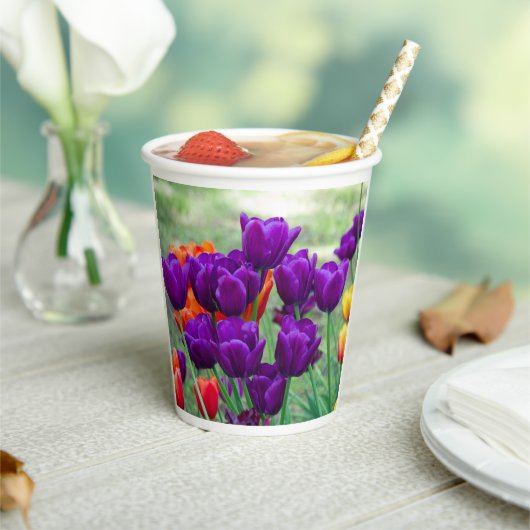 庭の晴れた日に濃い紫のチューリップ 紙コップ (インサイチュ)