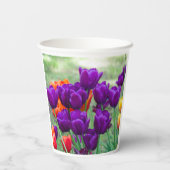 庭の晴れた日に濃い紫のチューリップ 紙コップ (裏面)