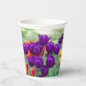 庭の晴れた日に濃い紫のチューリップ 紙コップ (正面)