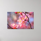 庭の桜の木に涼しいサクラの花が咲いている キャンバスプリント (正面)