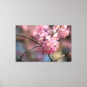 庭の桜の木の枝が、縦横に交差している。 キャンバスプリント