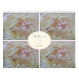 庭の牡丹 カレンダー