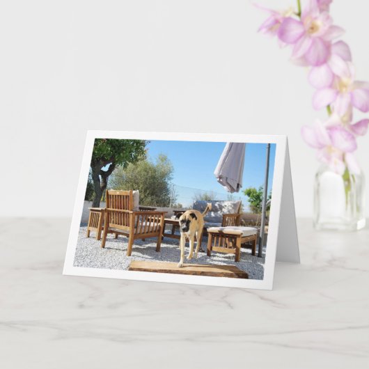 庭の犬 カード (蘭)