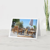 庭の犬 カード (正面)