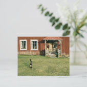 庭の猫と赤茶色の古びた家 ポストカード (スタンド正面)