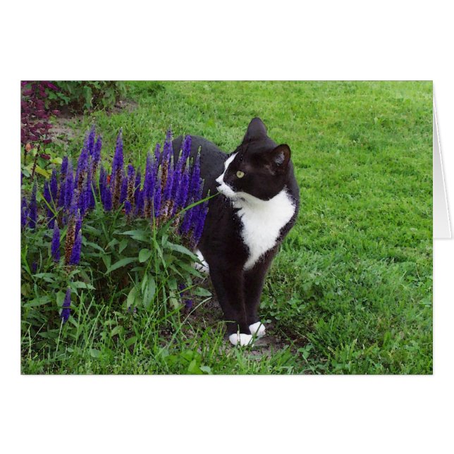 庭の猫 (正面横)
