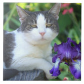 庭の猫 タイル (正面)