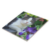 庭の猫 タイル (側面)