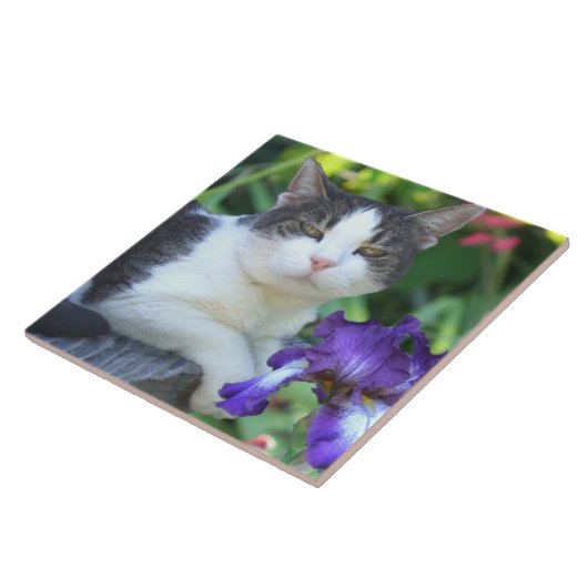 庭の猫 タイル (側面)