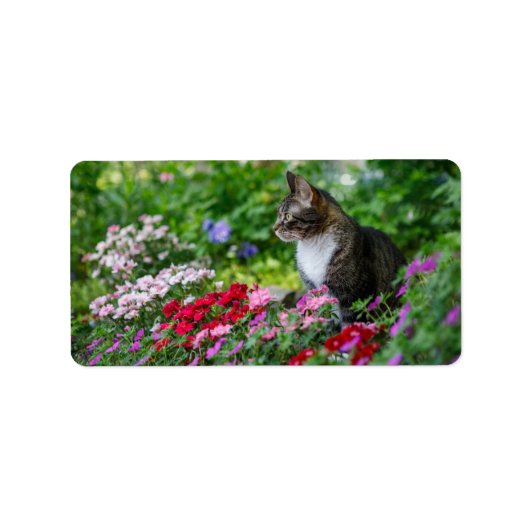 庭の猫 ラベル (正面)