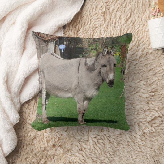 庭の甘いロバ クッション (ブランケット)