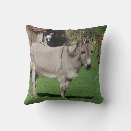 庭の甘いロバ クッション (裏面)