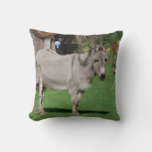 庭の甘いロバ クッション (正面)