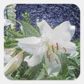 庭の白いユリ スクエアシール (正面)