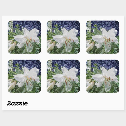 庭の白いユリ スクエアシール (シート)