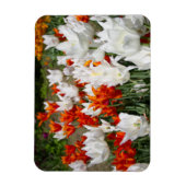 庭の白と生姜のチューリップ マグネット (縦)