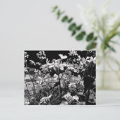庭の白黒春の花 ポストカード (スタンド正面)