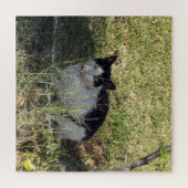庭の白黒猫 ジグソーパズル (横)