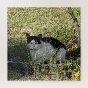 庭の白黒猫 ジグソーパズル