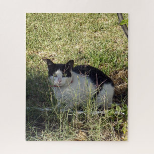 庭の白黒猫 ジグソーパズル