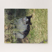 庭の白黒猫 ジグソーパズル (横)
