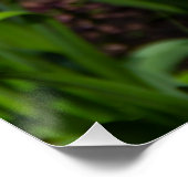 庭の白、ピンク、黄色のチューリップ ポスター (コーナー)