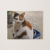 庭の箱に座っている三毛猫 ジグソーパズル (横)