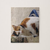 庭の箱に座っている三毛猫 ジグソーパズル (縦)