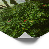 庭の紅葉日本のポスター ポスター (角)