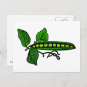 庭の緑の豆の鞘 ポストカード (正面/裏面)