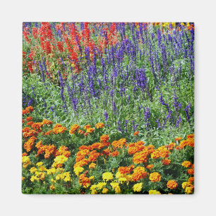 庭の美しいの花の写真撮影の磁石 マグネット