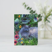 庭の花とグレーもふもふ猫 ポストカード (スタンド正面)