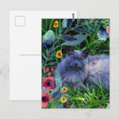 庭の花とグレーもふもふ猫 ポストカード (正面/裏面)