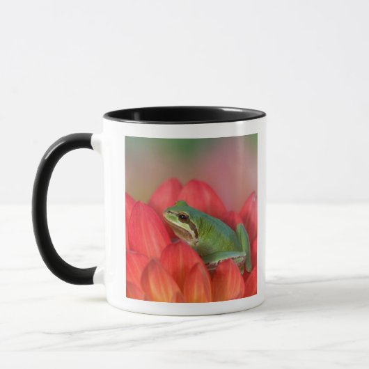 庭の花の上のヤマアメンボウガエル マグカップ (左)