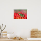庭の花の上のPacific tree frog ポスター (キッチン)