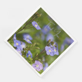 庭の花の写真 (コーナー)