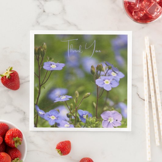 庭の花の写真 (インサイチュ)