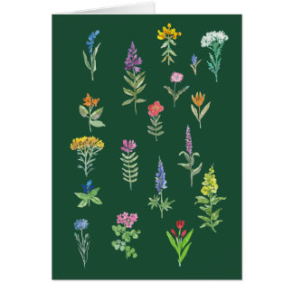 庭の花 はがき