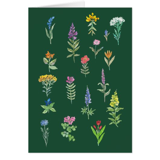 庭の花 はがき (正面)