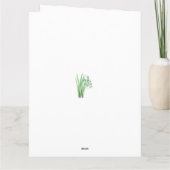 庭の花 はがき カード (裏面)