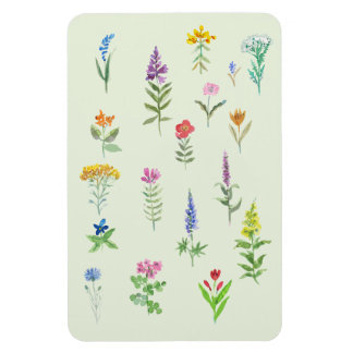 庭の花 はがき マグネット