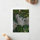 庭の花 ノートカード (正面/裏面インサイチュ)