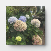 庭の花 フォトプラーク (正面)