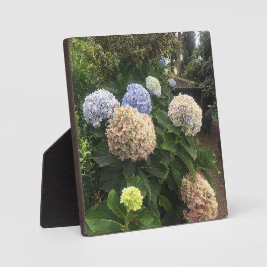 庭の花 フォトプラーク (正面)