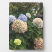 庭の花 フォトプラーク (正面)