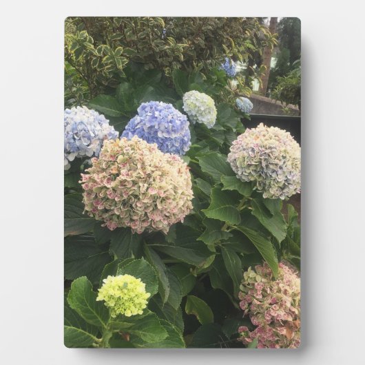 庭の花 フォトプラーク (正面)