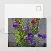 庭の花 ポストカード (正面/裏面)