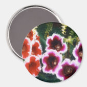 庭の花 マグネット (正面/裏面)