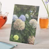 庭の花 台座サイン (インサイチュ)